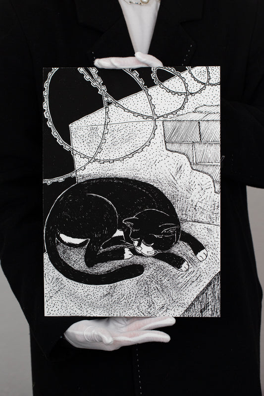 Exhibition print: Barbed wire and a cat