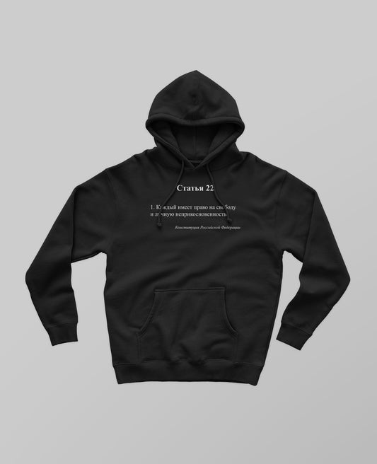 22 Article of the Constitution Hoodie